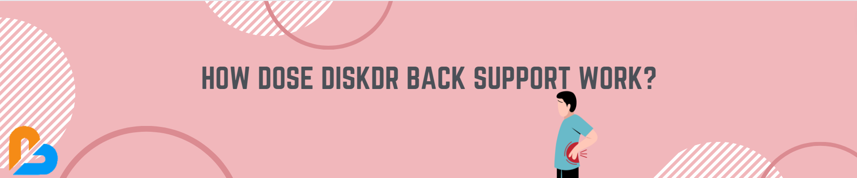 How does DiskDr back support work?